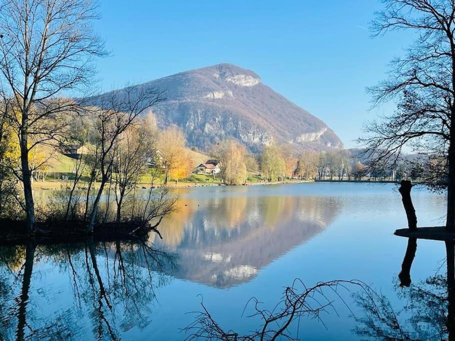 Appartement Independant Dans Maison Pres D'Annecy La Balme-de-Sillingy Екстер'єр фото